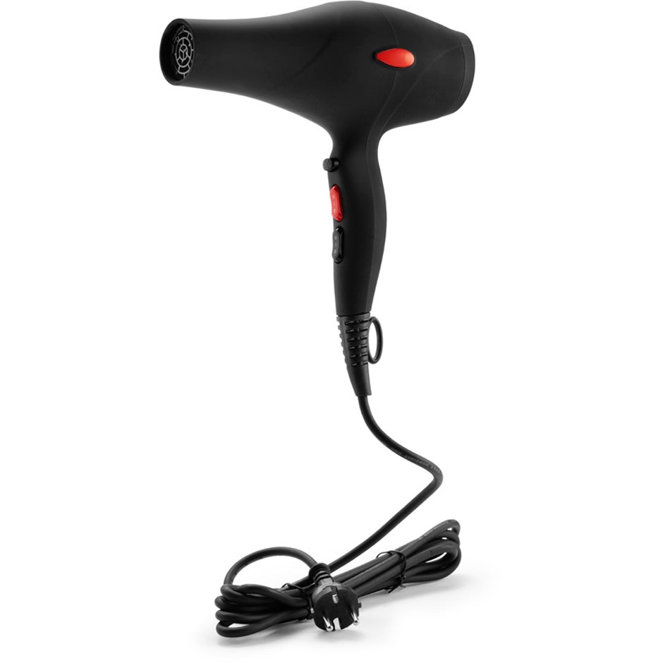 Cera Pro DC Dryer