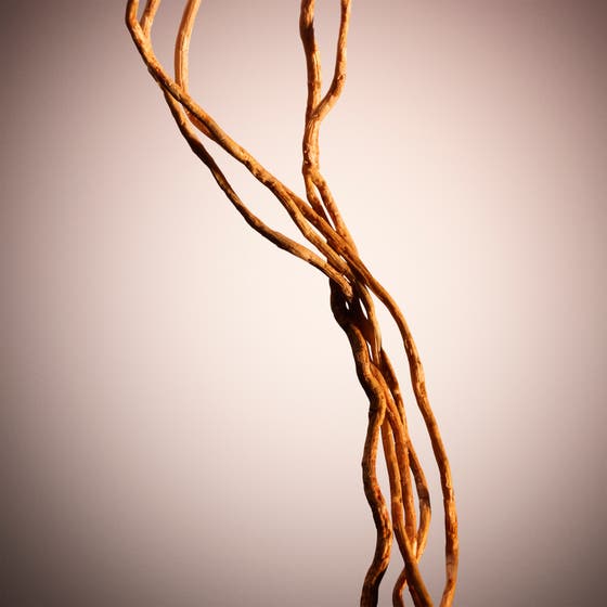 The Scent For Her Le Parfum