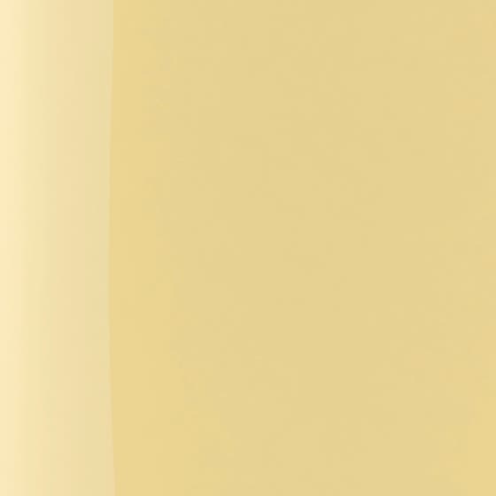 The Wonder Nail Polish Quick Dry & Longwear