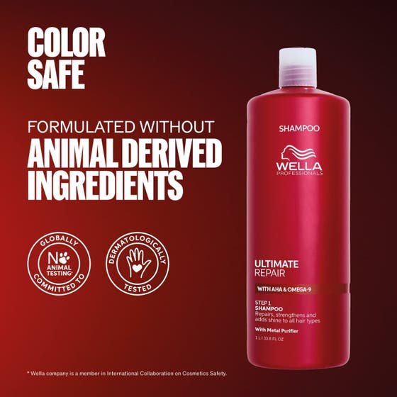 Ultimate Repair Hair Recovery Set