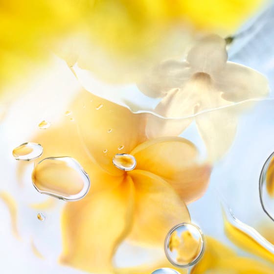 Ô de Lancôme O Zenith