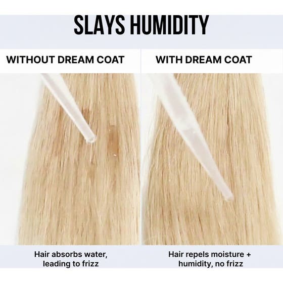 Dream Coat Spray Starter Set