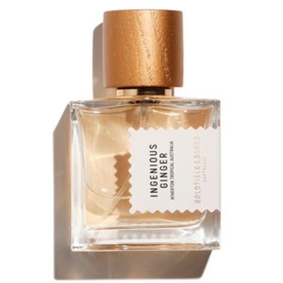 Ingenious Ginger