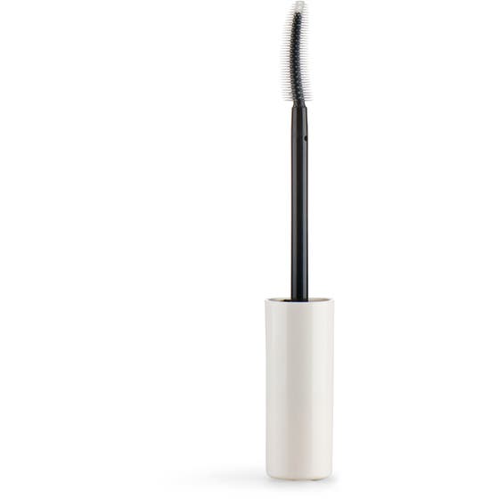 Mascara Brush