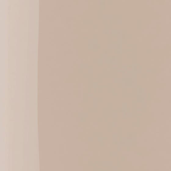 The Wonder Nail Polish Quick Dry & Longwear