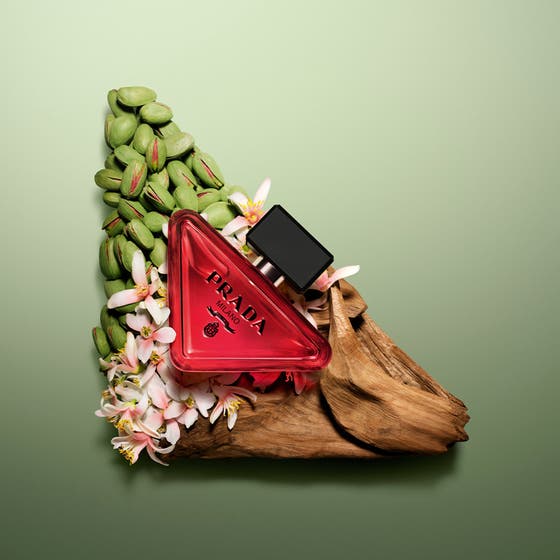 Paradoxe Radical Essence