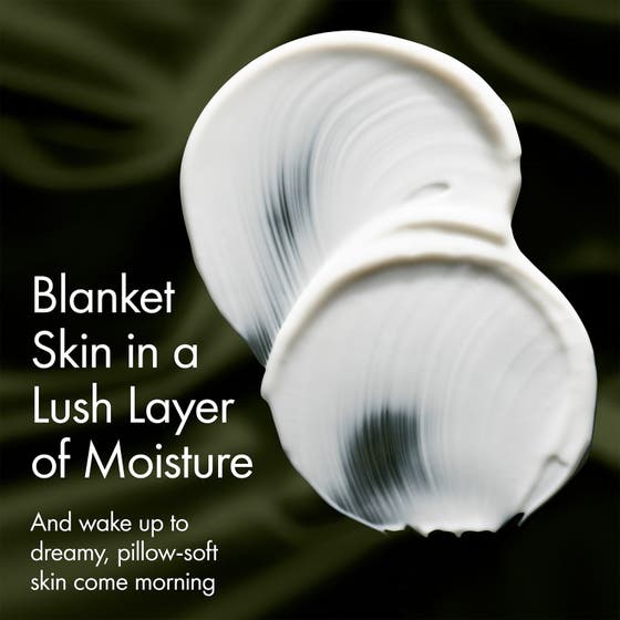 Dr. Weil Mega Mushroom Overnight Recovery Cream