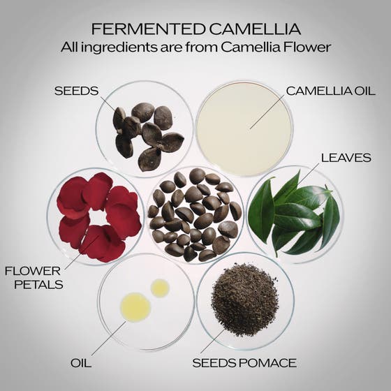 Ultimune Power Infusing Concentrate