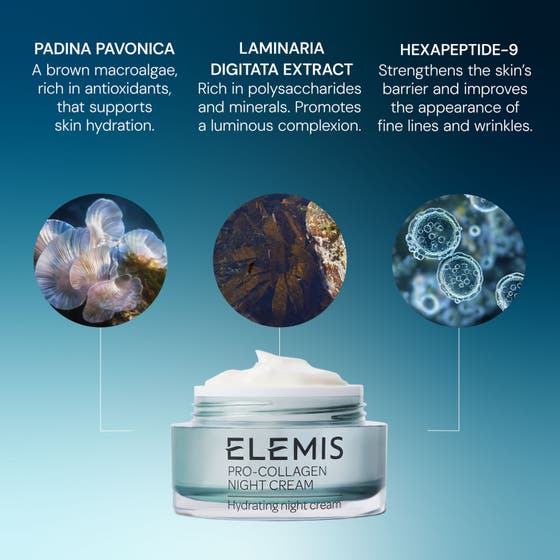 Pro-Collagen Night Cream