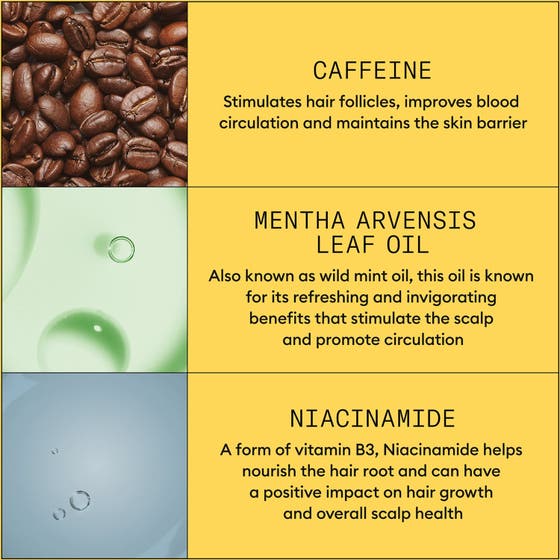 System 1 Treatment & Conditioner Set