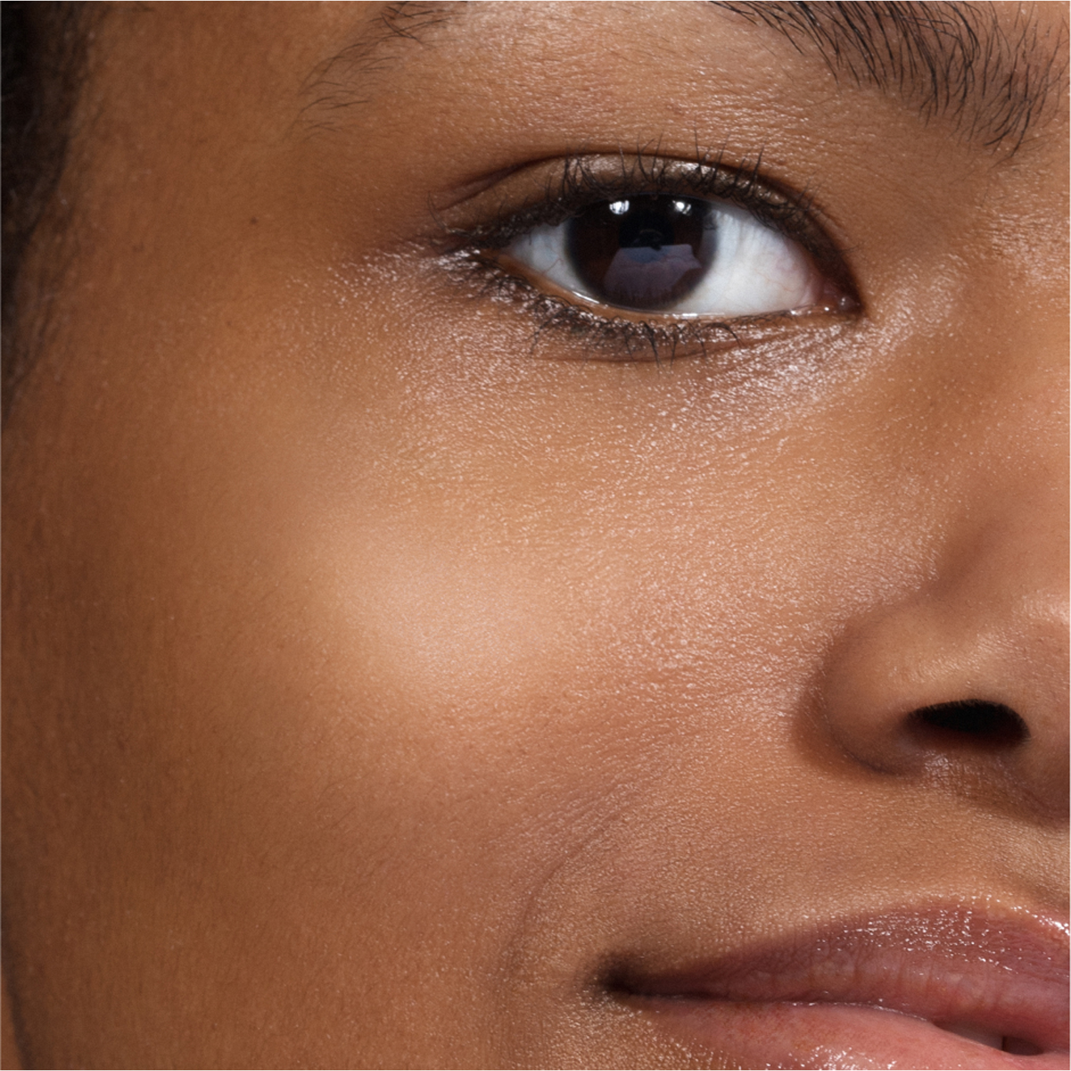 THE CONCEALER