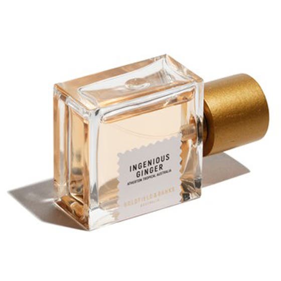 Ingenious Ginger