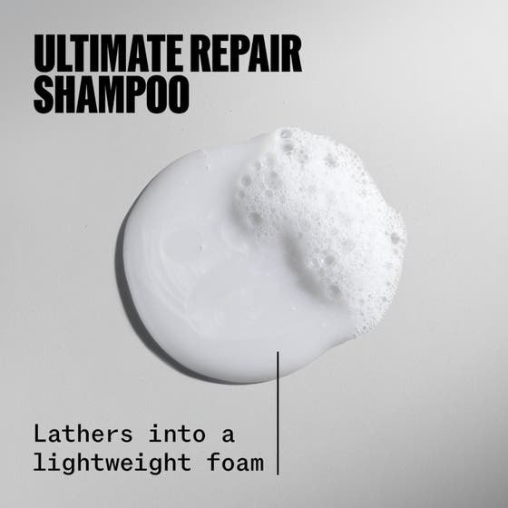 Ultimate Repair Hair Recovery Set