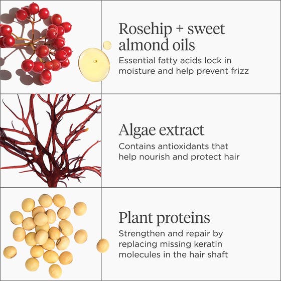 Don't Despair, Repair!™ Deep Conditioning Hair Mask