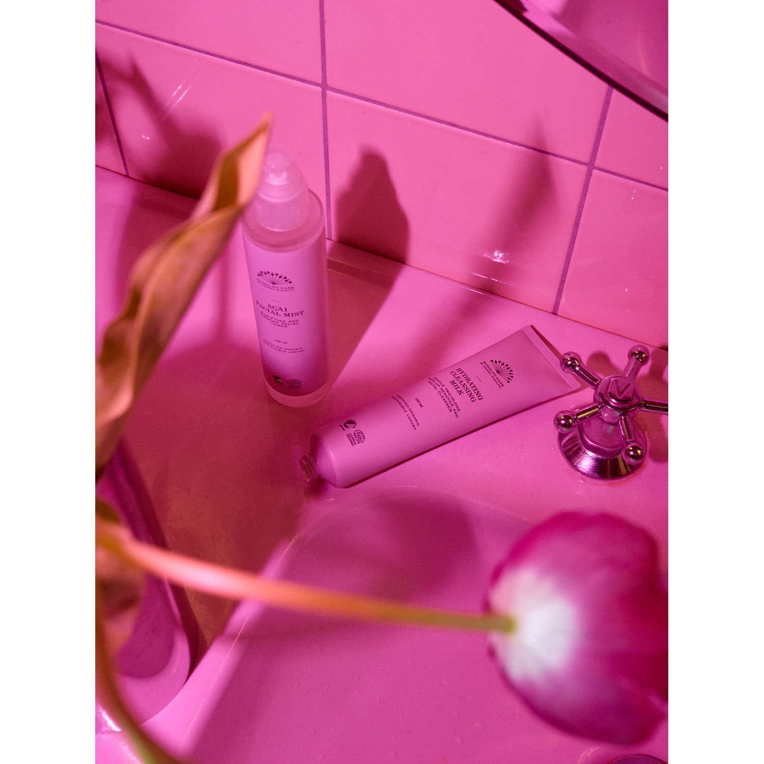 Rudolph Care Acai Facial Mist