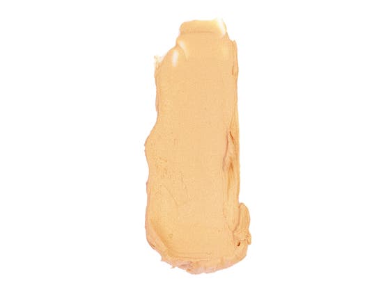 Anne T. Dotes Concealer