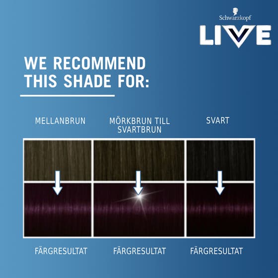Live Intense Color