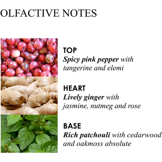 Fiery Pink Pepper Bath & Shower Gel