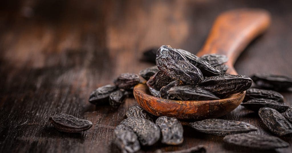 Tonkaböna – den trendigaste doftnoten just nu