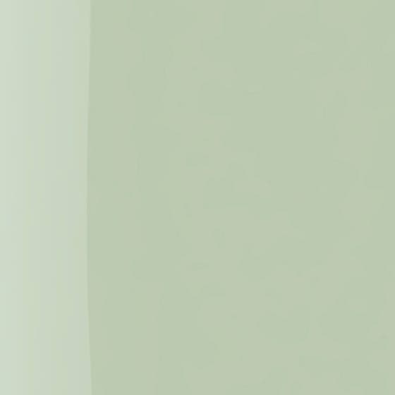 The Wonder Nail Polish Quick Dry & Longwear