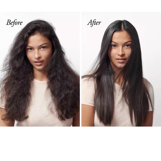 Royal Blowout