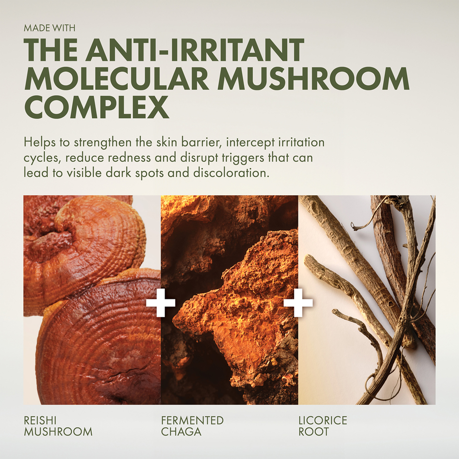 Dr. Weil Mega-Mushroom Dark Spot Corrector Serum