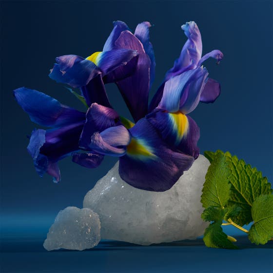 CK One Night Essence Intense