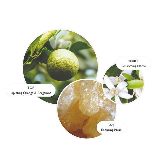 Orange & Bergamot Hand Duo