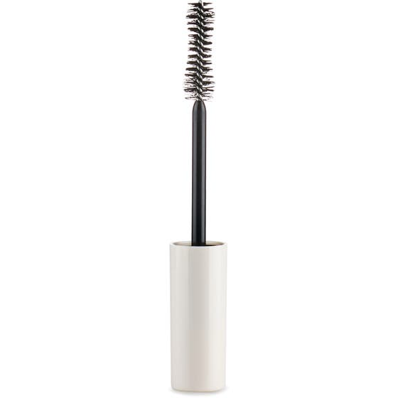 Mascara Brush