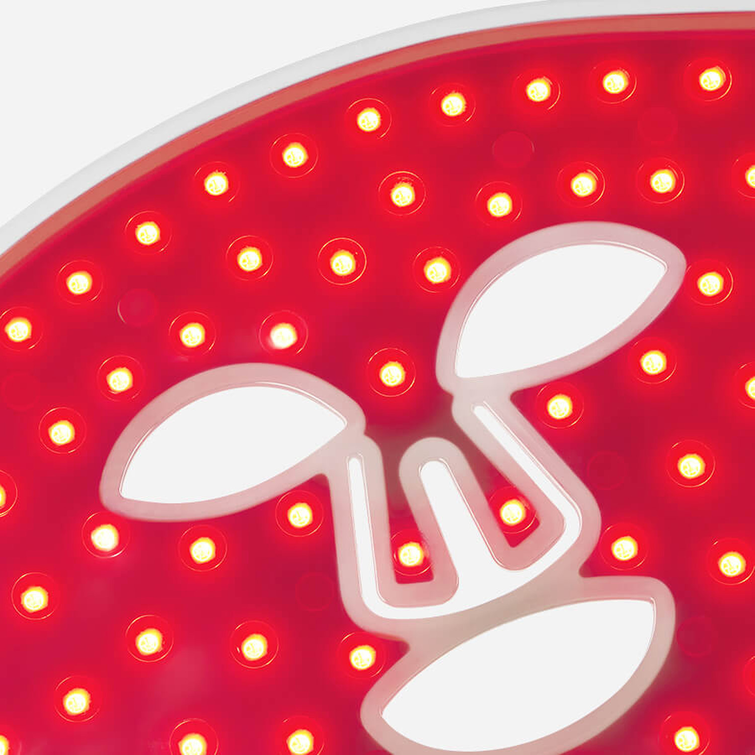 LED Light Therapy Face Mask