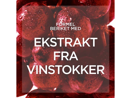 Men Expert Vita Lift