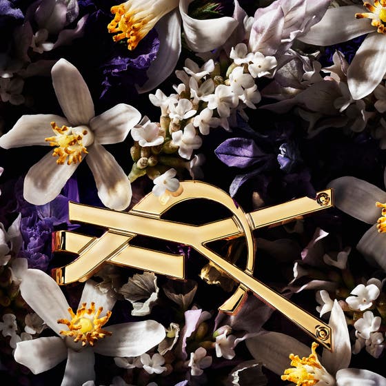 Libre L'Absolu Platine