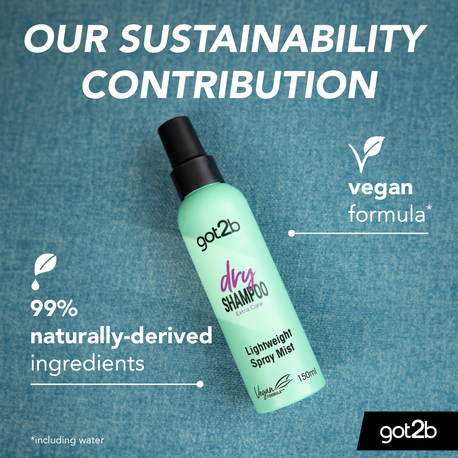 Dry Shampoo Mist