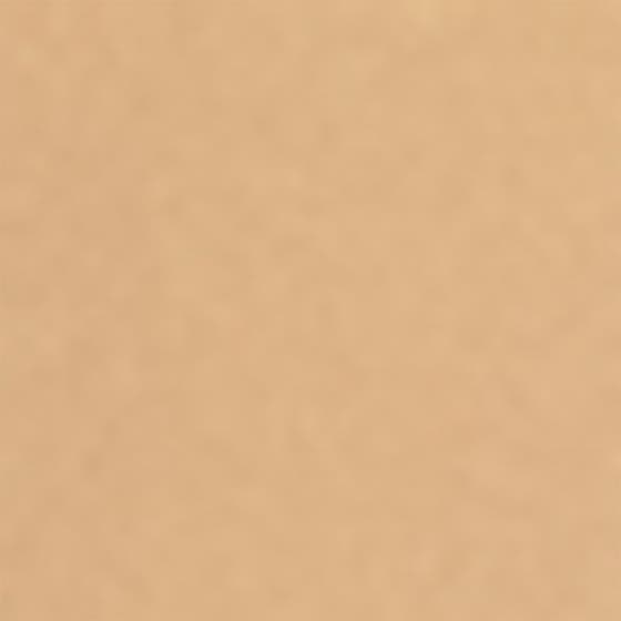 Blur 16H Longwear Foundation SPF15