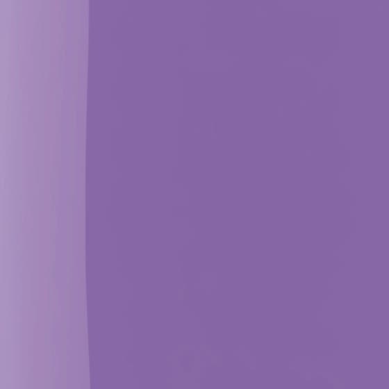 The Wonder Nail Polish Quick dry & Longwear