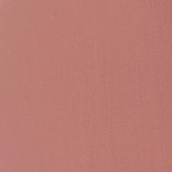 Perfect Moisture Lipstick