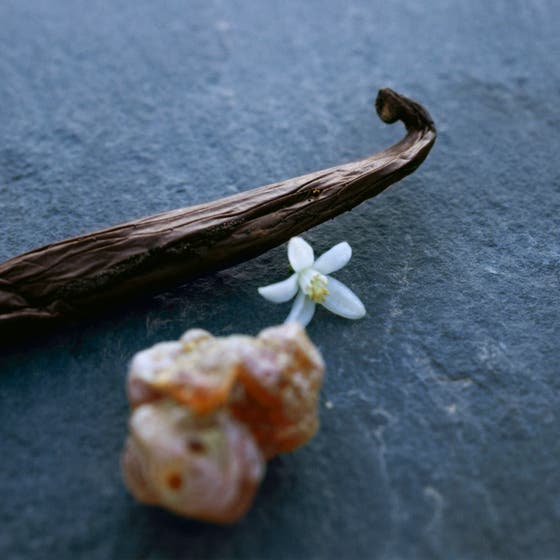 Nomade Nuit D'Egypte