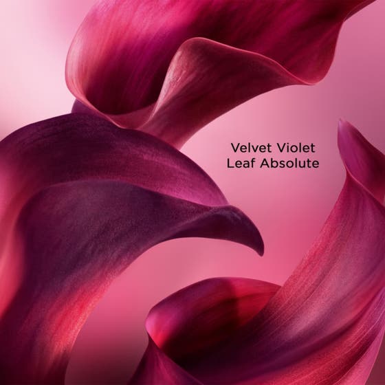 LC LVEB Elixir Cherry EDP V