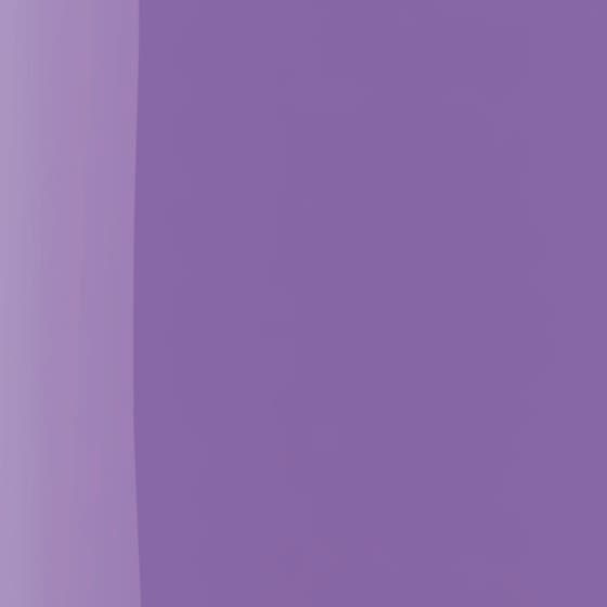 The Wonder Nail Polish Quick dry & Longwear