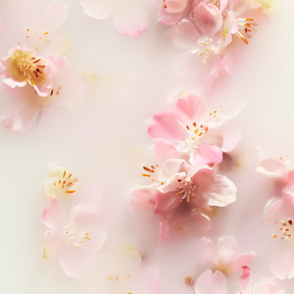 The Ritual of Sakura Medium Gift Set