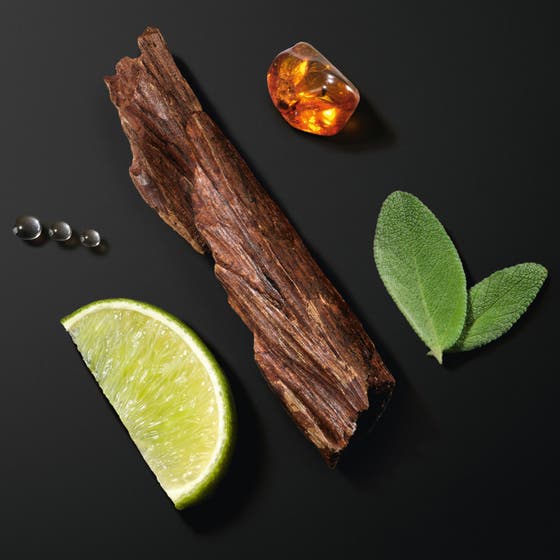 Aqua Di Gio Homme Intense