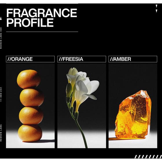 Elixir Ultime L´Huile Originale Hair Oil & ABC Treatment