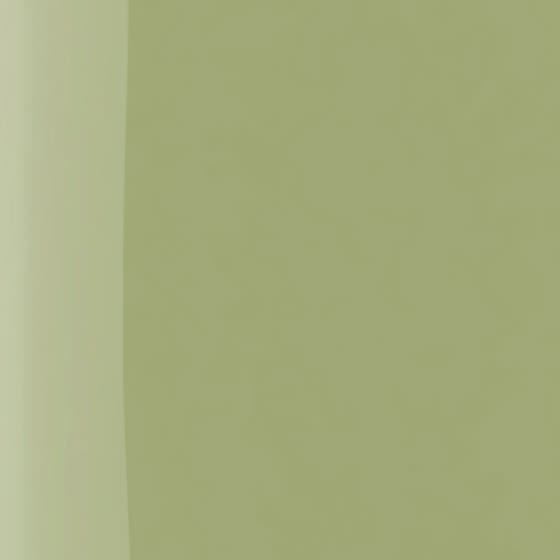 The Wonder Nail Polish Quick Dry & Longwear