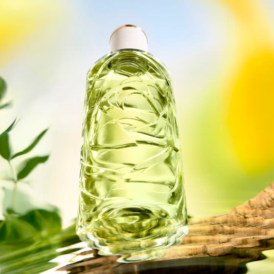 Ô de Lancôme Off Now