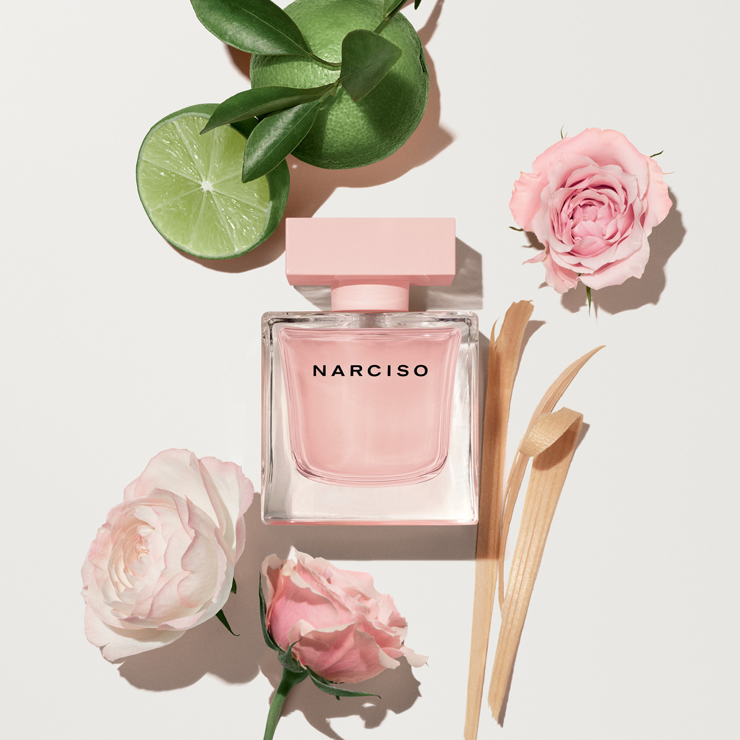 Narciso Cristal