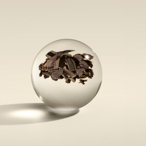 Mesmerising Oudh Accord & Gold