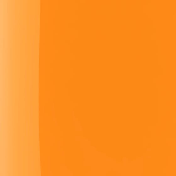 The Wonder Nail Polish Quick dry & Longwear