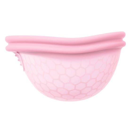 Ziggy Cup 2 Size A