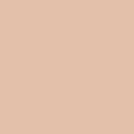 Long-wear Concealer Waterproof