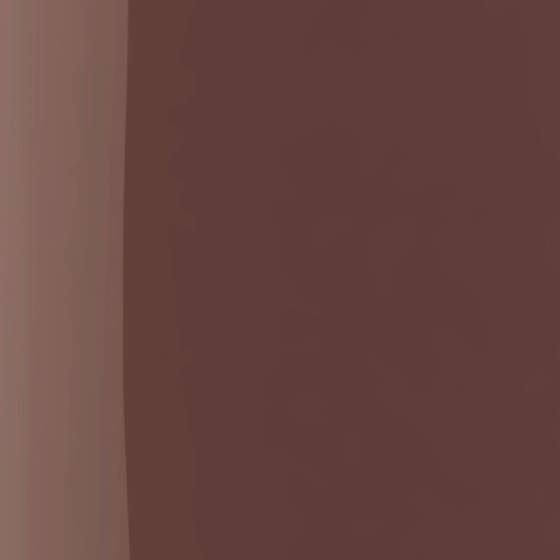 The Wonder Nail Polish Quick dry & Longwear